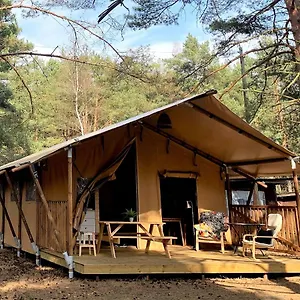 Camp Bursztynowy Camping